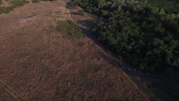 Gente Caminando Campos Rurales Imágenes Aéreas Aviones Tripulados — Vídeos de Stock