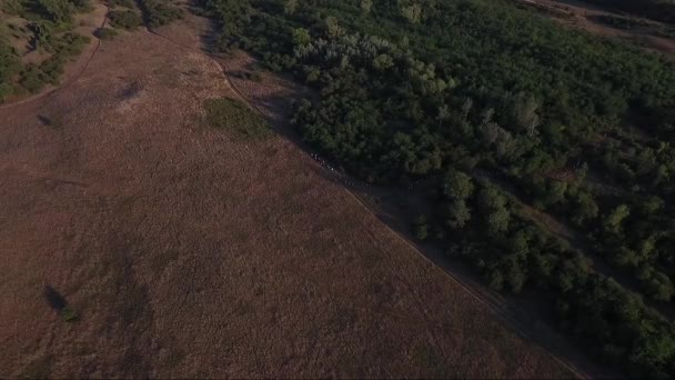 Gente Caminando Campos Rurales Imágenes Aéreas Aviones Tripulados — Vídeos de Stock