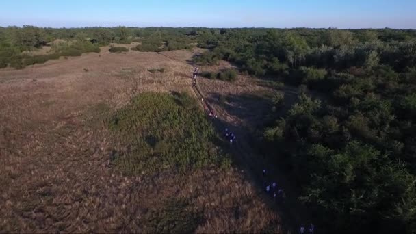 Lidí Kteří Jdou Venkovských Oblastech Hukot Leteckých Záběrů — Stock video