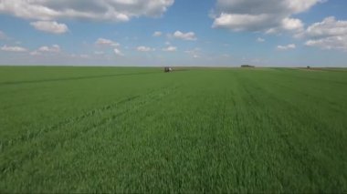 Buğday sıçramasına. Drone havadan görüntü