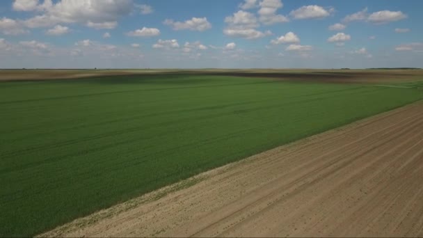 Weizenspritzer Drohnen Luftbild — Stockvideo