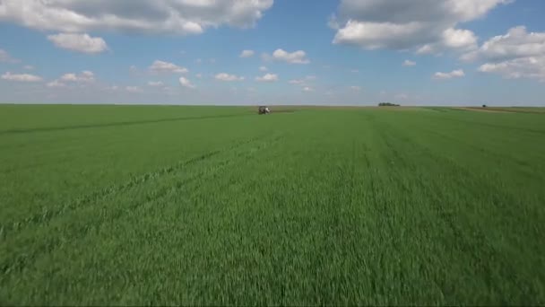 Spruzzando Grano Immagine Aerea Drone — Video Stock