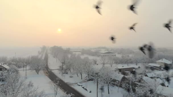 平野村の空中映像を のドローンは 雪で覆われました 白い曇った冬の天気 — ストック動画
