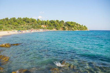 Mavi deniz su ve sandy beach ağaçları ile.
