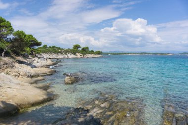 Mavi deniz su dalgaları ve rock beach ağaçları ile.