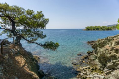 Yalnız ağaç üzerinde rock ve mavi deniz suyu içinde geçmiş, Chalkidiki, Yunanistan.