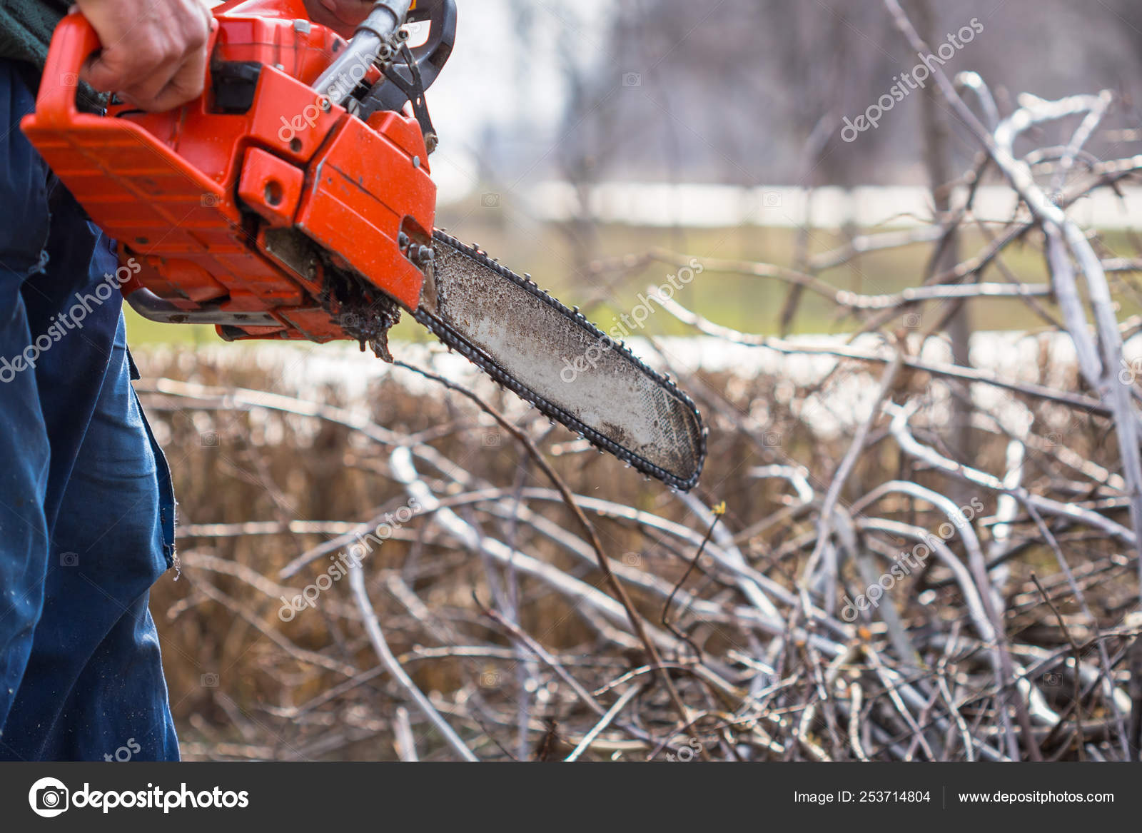 Old Man In Blue Pants Hold Orange Chainsaw With His Bare Hands