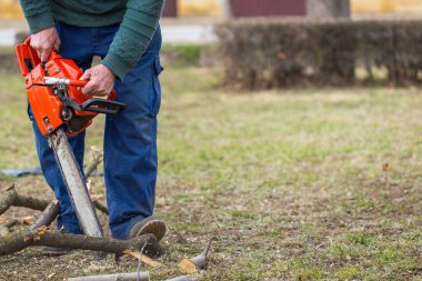 Turuncu testere çıplak elleri ile tutarak ve yere yerleştirilen bir dal kesme ihtiyar. Eylem turuncu chainsaw.