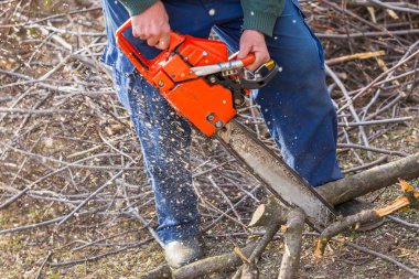 Turuncu testere çıplak elleri ile tutarak ve yere yerleştirilen bir dal kesme ihtiyar. Eylem turuncu chainsaw.