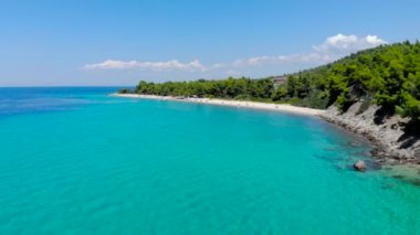 Ağaçlarla çevrili kumlu plajda mavi deniz yüzeyinin havadan drone görünümü. Şeffaf turkuaz okyanus su yüzeyi, deniz kıyısı, orman üst görünümü.