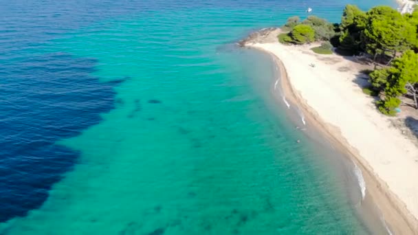 Ağaçlarla Çevrili Kumlu Plajda Mavi Deniz Yüzeyinin Havadan Drone Görünümü — Stok video