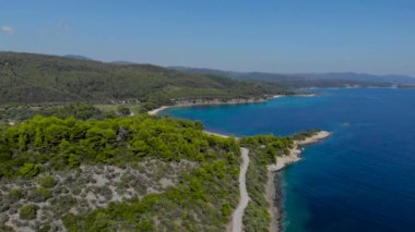 Ağaçlarla çevrili mavi deniz yüzeyinin havadan drone görünümü. Koyu mavi okyanus su yüzeyi, deniz kıyısı, orman, araba yolu üst görünümü.
