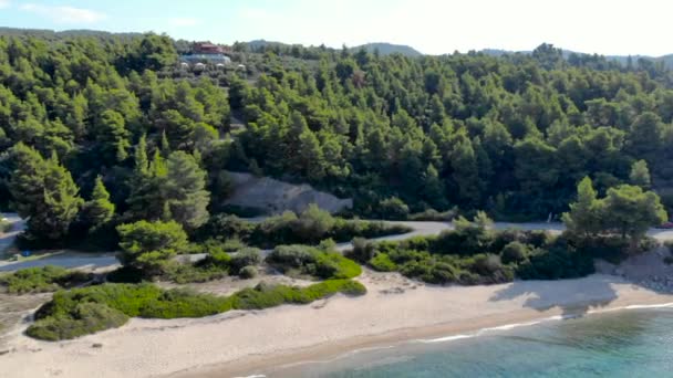 Aerial Drone Utsikt Över Blå Havet Yta Sandstrand Omgiven Träd — Stockvideo