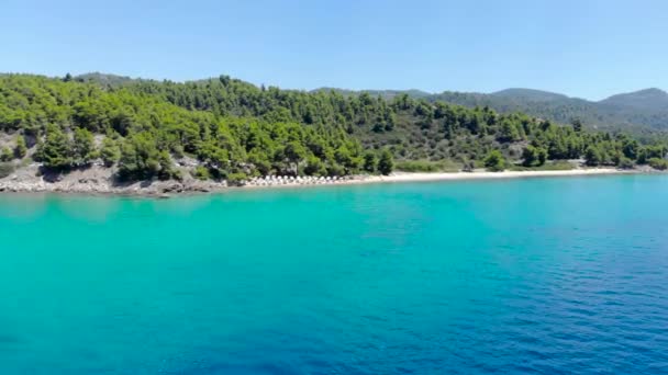 Légi Drone Véve Kék Tenger Felszínén Homokos Strand Fákkal Körülvett — Stock videók