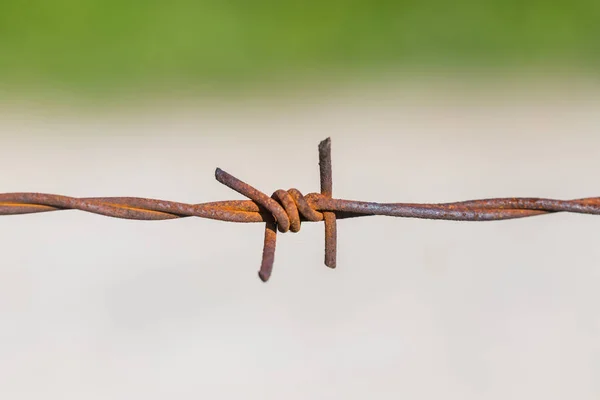 Close up of rust barbed wire with blurred background — Stock Photo, Image