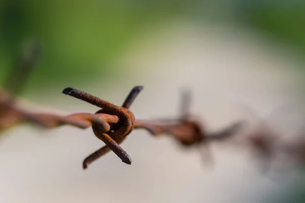 Primo piano di filo spinato ruggine con sfondo sfocato — Foto Stock