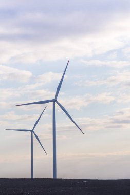 Arka planda bulutlu gökyüzü ile tarım salkÄ±mlarÄ± üzerinde iki rüzgar türbinleri