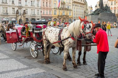 Prag, Çek Cumhuriyeti - 22 Temmuz 2019: Prag'da Eski şehir meydanında at arabası.