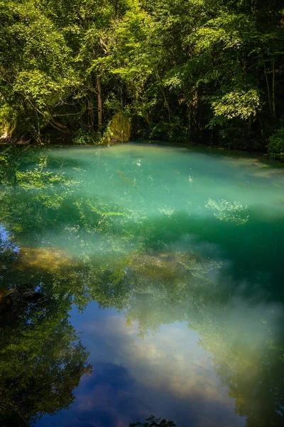 Krupajsko Vrelo Krupaj Springs Serbiassa Kaunis Vesilähde Vesiputouksilla Luolilla Parantaminen — kuvapankkivalokuva