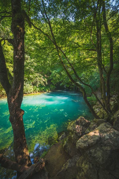 Krupajsko Vrelo Los Manantiales Krupaj Serbia Hermosa Fuente Agua Con —  Fotos de Stock