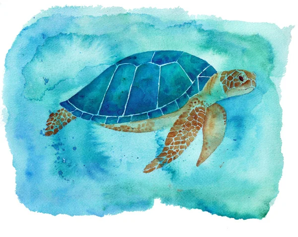 Żółw Morski Niebieski Akwarela — Zdjęcie stockowe