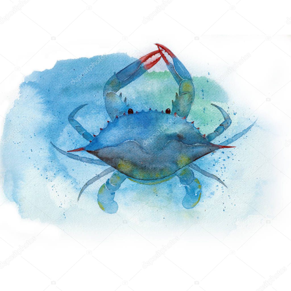 Watercolor Blue crab underwater