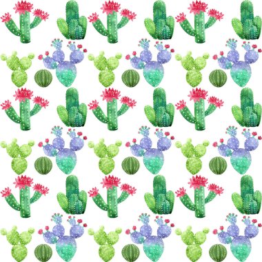 Beyaz arka planda suluboya kaktüsler desen