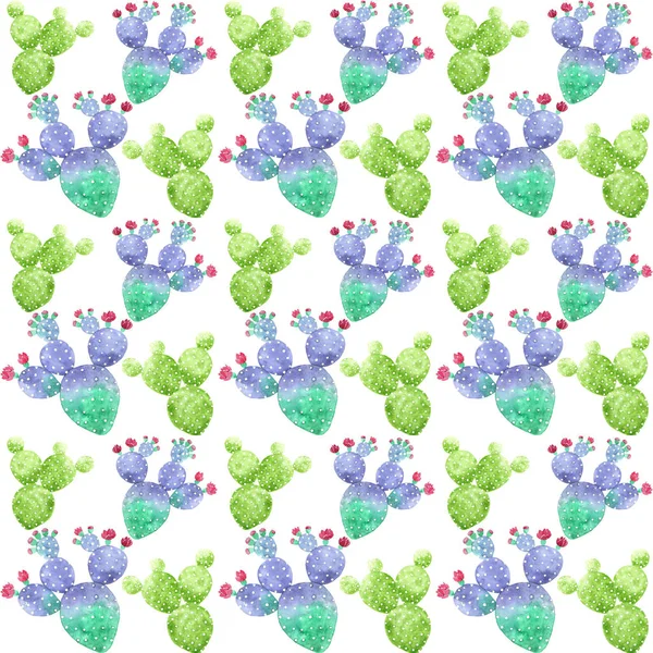 Watercolor Cacti pattern on white background