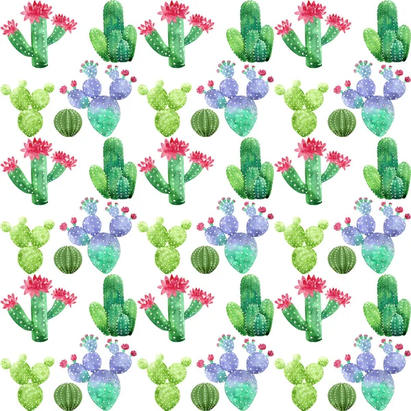 Padrão Cacti Aquarela Fundo Branco — Fotografia de Stock