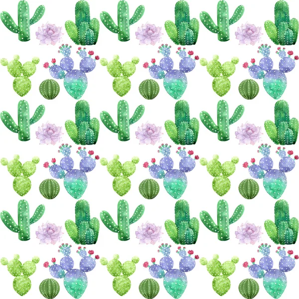 Aquarela Cacti Padrão Suculento — Fotografia de Stock