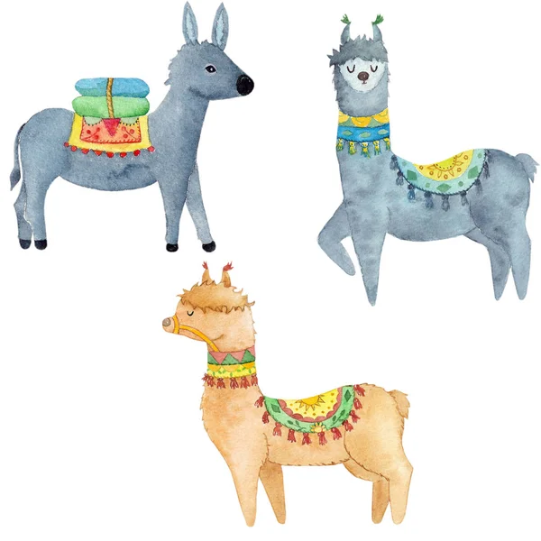 Suluboya Lama ve eşek 