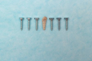 Bireysellik, tatil süresi, teknoloji hayatı kalabalık.