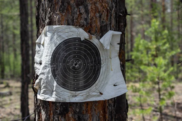 Vecchio bersaglio di carta tattica su albero situato sul campo di tiro militare per airsoft gioco attivo. — Foto Stock