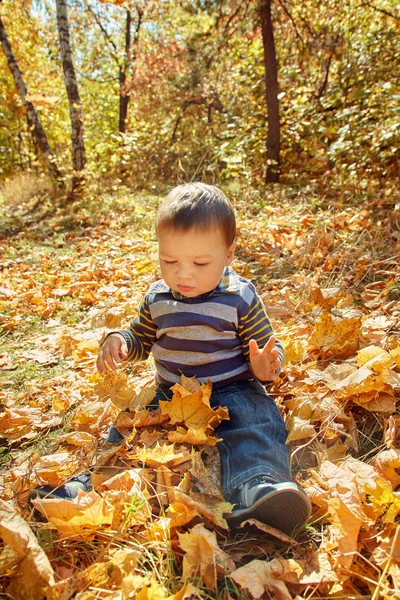 Kind wandelen in een park van de herfst — Stockfoto