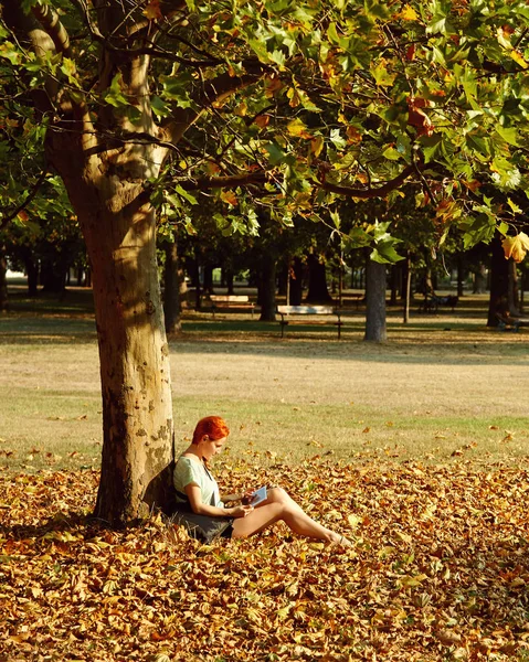 Donna seduta sotto un albero nel parco — Foto Stock