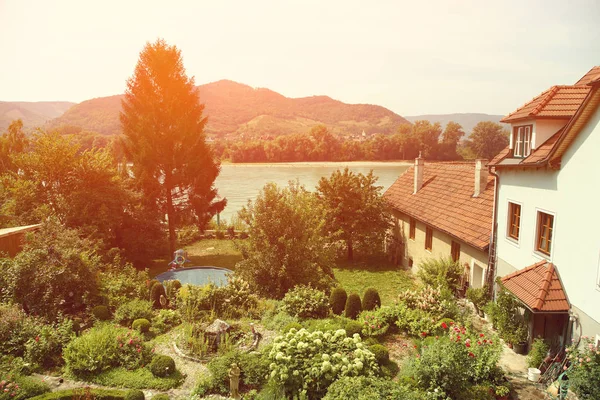 Giardino lussureggiante rustico — Foto Stock