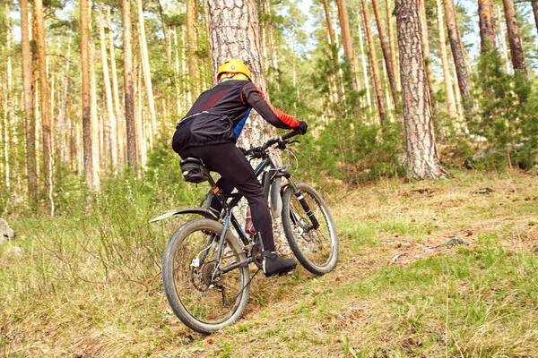 Ciclista montando una bicicleta de montaña a lo largo del camino forestal — Foto de Stock