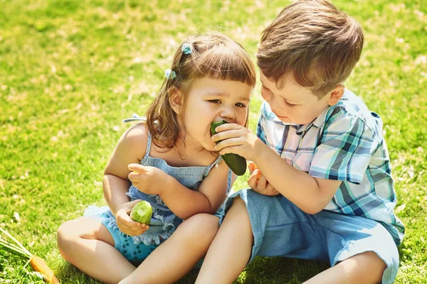 Lustige Kinder im Sommer draußen. Bruder und Schwester essen Gemüse — Stockfoto