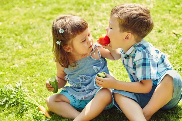 Lustige Kinder im Sommer draußen. Bruder und Schwester essen Gemüse — Stockfoto