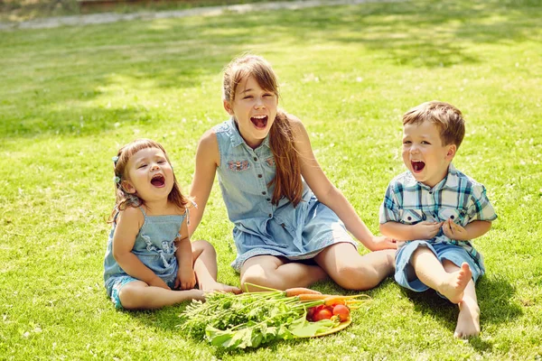 Lustige Kinder im Sommer draußen. Bruder und Schwester essen Gemüse Stockfoto