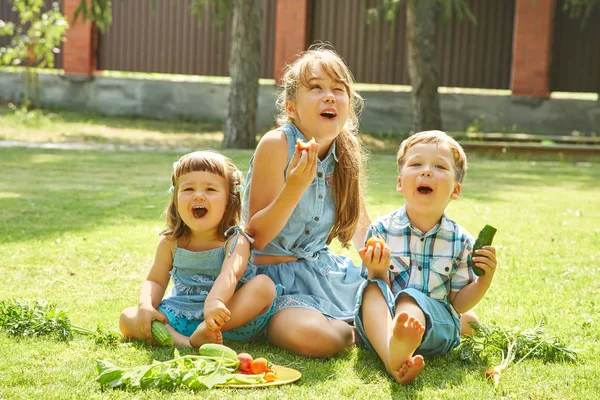 Bambini all'aperto in estate. fratello e sorella mangiare verdure — Foto Stock