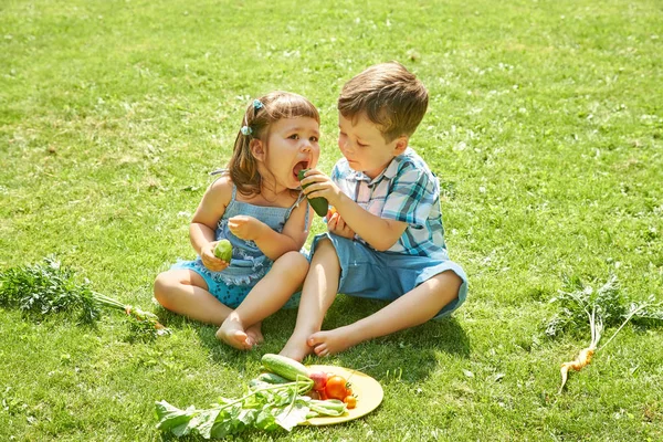 Bambini all'aperto in estate. fratello e sorella mangiare verdure — Foto Stock