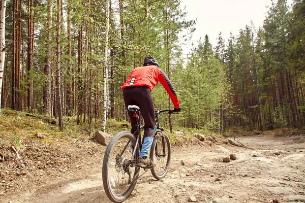 Cyclist riding a mountain bike along forest road — Stock Photo, Image