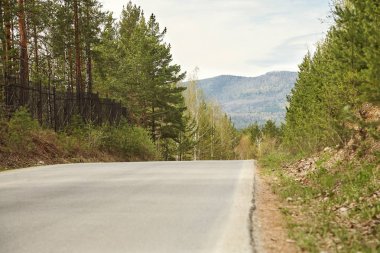 doğal dağ yolu. orman asfalt boş yol manzara
