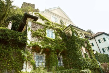 büyük eski sarmaşık kaplı evin otantik cephe