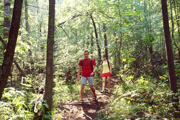 Giovani escursionisti di coppia nella foresta. sport uomo e donna con zaini in natura — Foto Stock