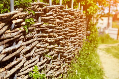 çim arka plan üzerinde yaz bahçesinde hasır rustik çit