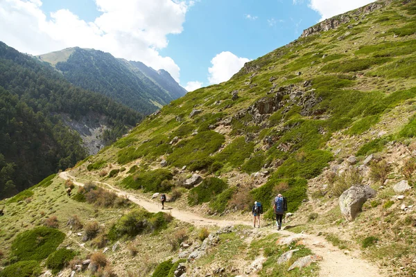 Wandergruppe in den Bergen. Bergsteiger mit Rucksack — Stockfoto