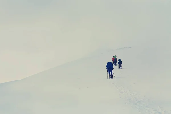 一群徒步旅行者在山上。爬到山顶 — 图库照片