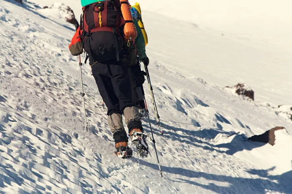 一群徒步旅行者在山上。登山者与背包和抽筋在小径 — 图库照片